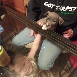 Meet your Posher, Lora